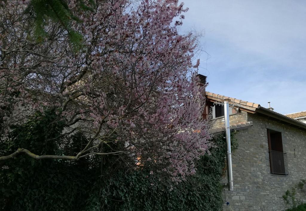 O Zierzo Villa Jaca Eksteriør billede